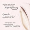 image:imageORIBE Serene Scalp Oil Control Shampoo amp Balancing Conditioner