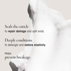 image:imageOribe Eternal Curls Deep Treatment Mask  Repairs Damage amp Smooths  85ozNA