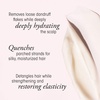 image:imageOribe Serene Scalp Conditioner  Removes Dandruff Soothes Dryness338 Fl Oz Pack of 1