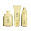 image:imageORIBE Hair Alchemy Strengthening Shampoo Mask amp Treatment Serum