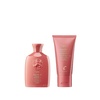 image:imageOribe Bright Blonde Shampoo amp Conditioner Travel Set  Tones Blonde Hair