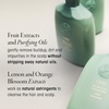 image:imageOribe Eternal Curls Cleansing Cream  NonFoaming Shampoo For Curls  85ozNA