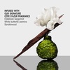 image:imageORIBE Dry Texturizing Spray  Adds Volume amp Texture  Absorbs OilProtect  Texturize Duo